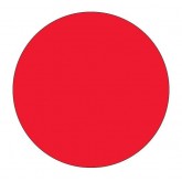 4" Circle Fluorescent Red Blank Circle Inventory Labels